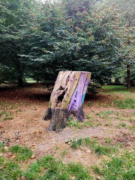 Tronc d'arbre